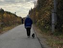 До миллиона рублей без налогов: работодателям разрешат поддерживать будущих мам еще до родов