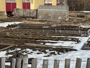 Соседские коты перекапывают грядки. 4 гуманных способа защитить посевы, которые действительно стоит попробовать
