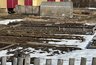 Соседские коты перекапывают грядки. 4 гуманных способа защитить посевы, которые действительно стоит попробовать
