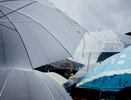 Кубань и Крым готовятся к сильным ливням: где дожди могут затянуться и чем опасна непогода