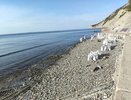 В Новороссийске очищают пляжи от мазута: за несколько дней убрали загрязнения на трех участках побережья