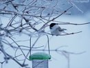 Россиян предупредили о зиме с резкими перепадами: где ударят морозы, а где придут оттепели