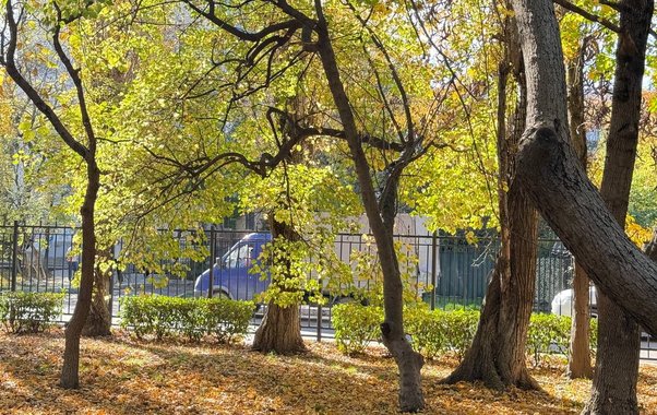 Дожди и туманы принесут похолодание на Кубань в начале недели