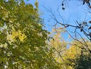 Дожди и прохладный ветер: какая погода ожидается в Краснодарском крае