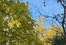 Дожди и прохладный ветер: какая погода ожидается в Краснодарском крае