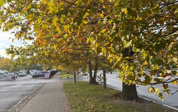 Погода в Краснодарском крае 21 октября: до +23 градусов и минимальная вероятность дождей