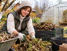 Что сделать в саду до первых морозов: 7 важных дел для дачников Кубани