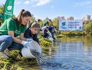Субботник на Карасунах в Краснодаре: в пруды выпустят тысячи мальков