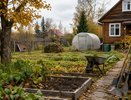 Конец октября на даче: что ещё можно успеть сделать до настоящих морозов