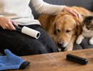 Шерсть на чёрных брюках появляется снова через пять минут: 4 способа убрать её без дорогого ролика