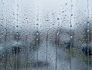 Осенью в квартире сыро: как убрать лишнюю влажность без ремонта
