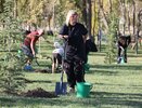 В Геленджике высадили кедры и открыли новый арт-объект в парке «Молодежном»