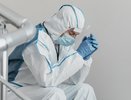Чума в Иркутской области была или нет: что известно о ситуации