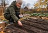 Пока другие убирают огород, эти культуры уже можно сеять: что посадить под зиму
