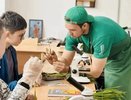 Куда поступать после 9-го класса: на Кубани 54 колледжа и техникума пригласят школьников на день открытых дверей