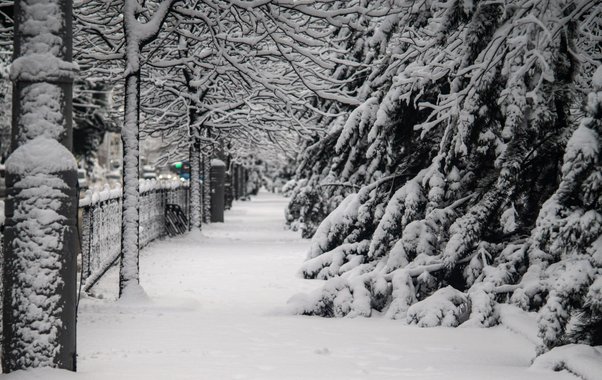 Арктическое вторжение накроет Краснодар: тёплые выходные сменится морозами и гололёдом