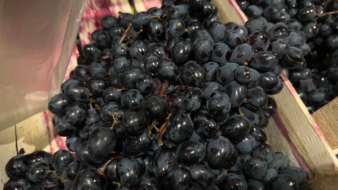 Главная картинка новости: Суд окончательно отказал винодельне «Бюрнье» в выкупе 109 га земли в Новороссийске