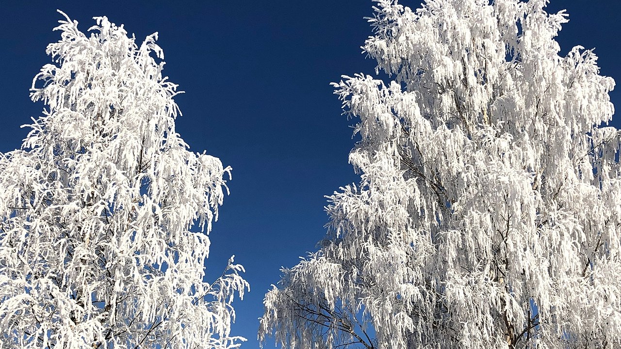 Главная картинка новости: Пик морозов в Краснодарском крае ожидается в начале недели