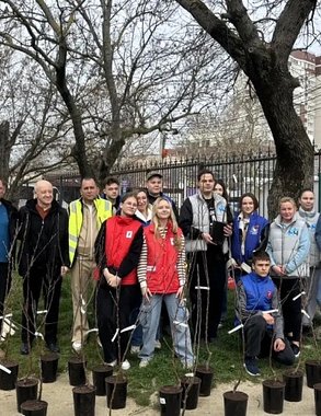 Где в Новороссийске появился новый яблоневый сад: 40 деревьев высадили в Пионерской роще