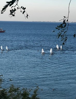 В Новороссийске задержали полтысячи тонн турецкого табака из-за опасного вредителя