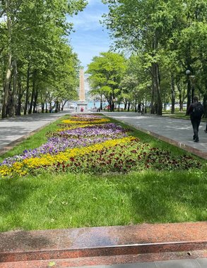 Новороссийцев приглашают пополнить «зеленый счетчик»: на озеленение города выделено 64 млн рублей