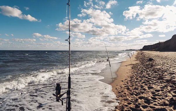 В Новороссийске ужесточили правила любительской рыбалки: что изменилось и как не стать браконьером