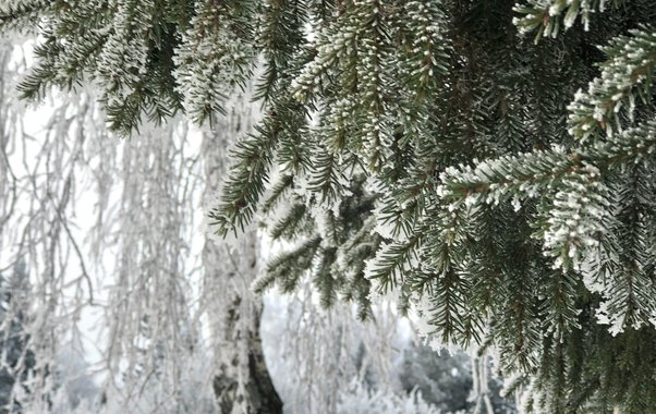 Апрельский снег выпал в Мостовском и Апшеронском районах Кубани