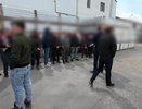 Полиция выявила 35 нелегальных мигрантов на заводе в Крымске
