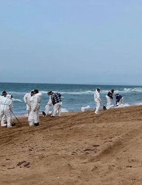 Более 99% загрязненного песка из Анапы обезврежено, побережье готовят к отсыпке