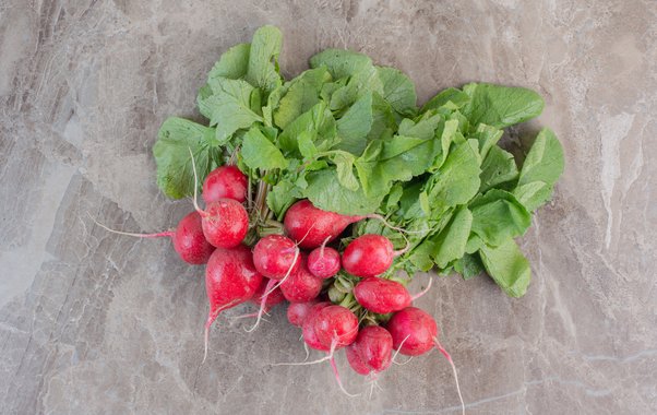 Так грунт для редиса не готовят: первая ошибка и 3 важных момента — будет дубовым, волокнистым и безвкусным