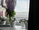 Жалюзи вышли из моды: как повесить шторы, чтобы визуально поднять потолок и расширить комнату
