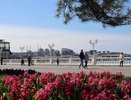 Кубань ждет более 630 тысяч туристов на майские праздники: лидируют Геленджик и предгорья