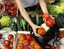 В Краснодаре 2 мая будут работать восемь ярмарок выходного дня: список адресов