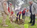 В Новороссийске высадили более 80 саженцев сирени, кипариса и платана в рамках проекта «Укоренись»
