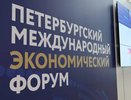 Кондратьев: Кубань подпишет на ПМЭФ-2026 около 50 соглашений после рекордных инвестиций прошлого года