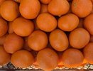 В Новороссийске уничтожат 244 тонны «санкционных» мандаринов, замаскированных под турецкие