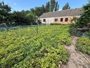 Дачный сезон 2026: три новых правила для владельцев участков в СНТ