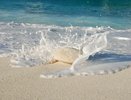 Куда поехать к морю в начале июня — 5 доступных направлений без визы и заоблачных цен