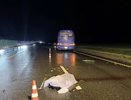 В Краснодарском крае автобус столкнулся с повозкой: погиб мужчина