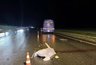 В Краснодарском крае автобус столкнулся с повозкой: погиб мужчина