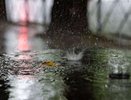 Краснодар накрыл ливень — дептранс мониторит обстановку, готовы 29 единиц техники