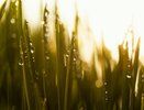 До +29 на Кубани, но не везде: где будет прохладно и когда прекратятся дожди
