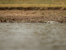 В Армавире объявили эвакуацию жителей из-за угрозы подтопления