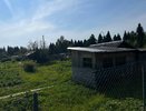 Уничтожаем сорняки уксусом и солью: народный рецепт на 3 года без травы