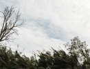Огромный циклон над востоком России принесёт на Кубань дожди и ветер до 20 м/с