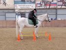 «Всадники без границ» из Новороссийска готовятся покорять соревнования в Ростовской области