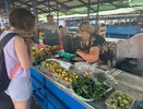По дороге на море можно будет купить свежие овощи и фрукты: летом на Кубани откроют больше 200 придорожных ярмарок