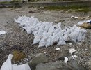 В Туапсе собрано 17 тысяч кубометров мазута и загрязнённого грунта — работы продолжаются