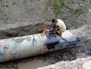 В Новороссийске из-за штормового ветра дерево упало на инженерные коммуникации