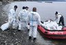 Четыре из шести загрязнённых участков побережья под Туапсе привели в порядок